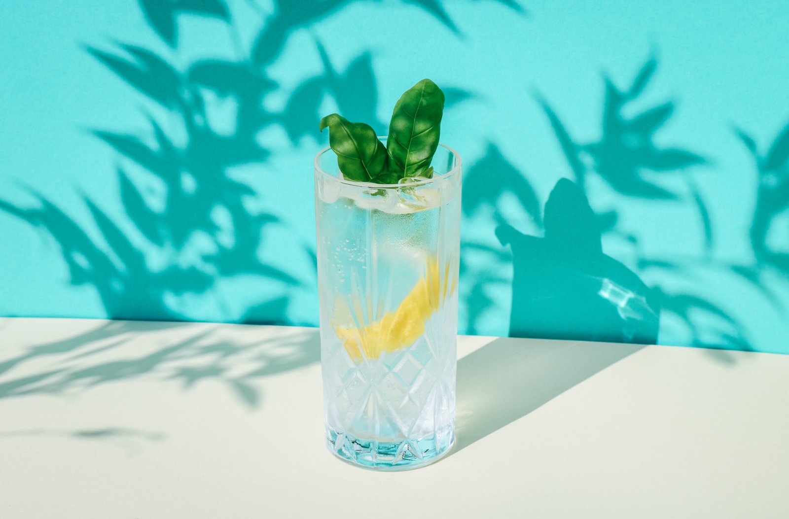Tipos de Gin e Suas Diferenças