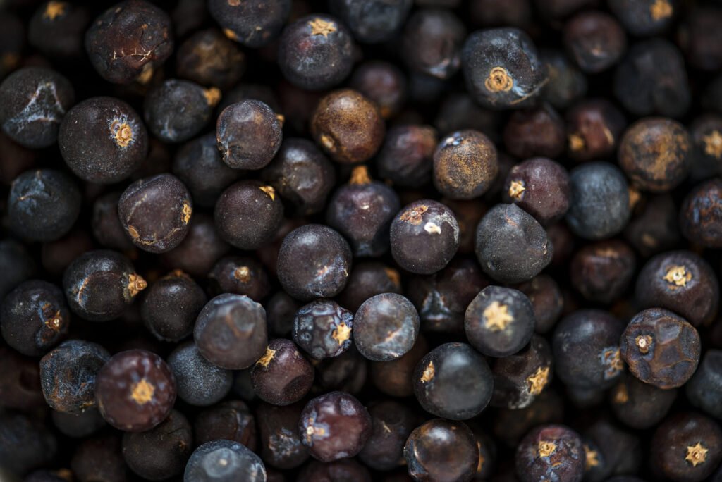 zimbro ingrediente gin